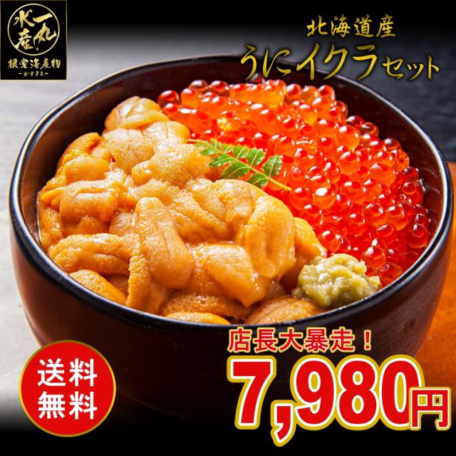 海の幸】生ウニ 250g うに 北海道産 【公式通販】